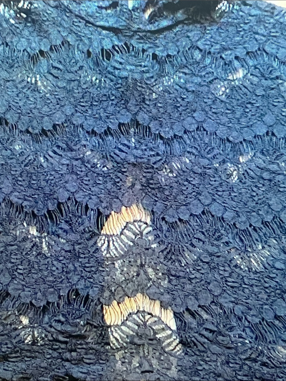 Women's Navy Lace Overlay Top